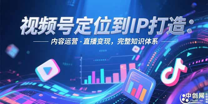 （15173期）视频号定位到IP打造：账号搭建-内容运营-直播变现，完整知识体系-湘创网