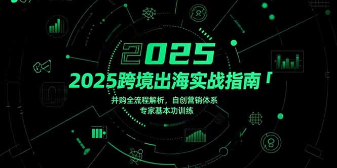 （15503期）2025跨境出海实战指南，并购全流程解析，自创营销体系，专家基本功训练-湘创网