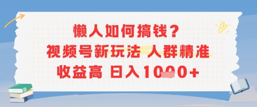 懒人如何搞钱？视频号新玩法，人群精准收益高，日入多张-湘创网