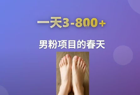 AI一键生成美女素材，一天收益3-8张，男粉项目的春天-湘创网