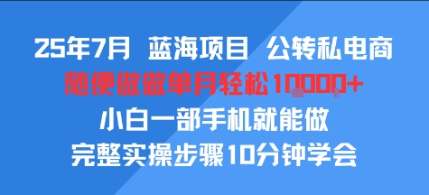 25年7月蓝海项目，公转私电商，随便做做单月轻松1w，小白一部手机就能做，完整实操步骤10分钟学会-湘创网