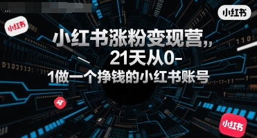 小红书涨粉变现营，21天从0-1做一个挣钱的小红书账号-湘创网