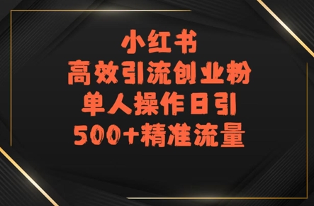 小红书高效引流创业粉，单人操作日引500+精准流量-湘创网