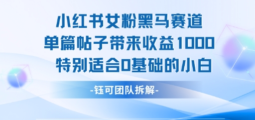 小红书女粉黑马赛道单篇帖子带来收益1k+，特别适合0基础的小白-湘创网