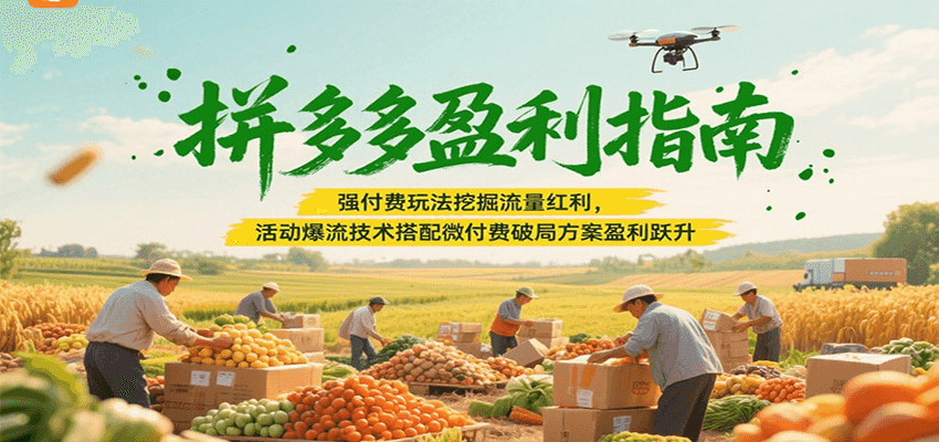 拼多多盈利指南：强付费玩法挖掘流量红利，活动爆流技术搭配微付费方案实现盈利跃升-湘创网