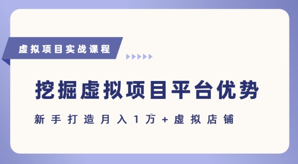 抓住虚拟项目各平台优势，新手轻松月入1W+(给出具体建议)-湘创网