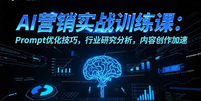 （15465期）AI营销实战训练课：Prompt优化技巧，行业研究分析，内容创作加速-湘创网