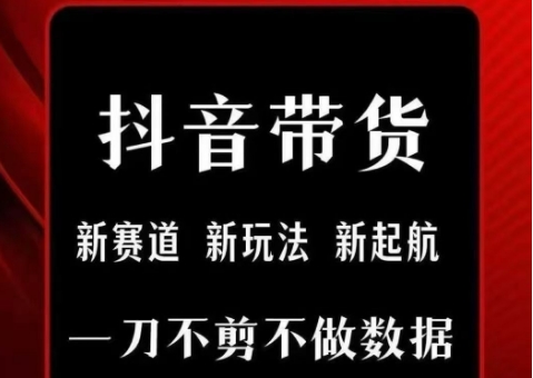 抖音短视频一刀不剪带货，不剪辑，不直播，每天发个视频，等着出单获取带货佣金-湘创网