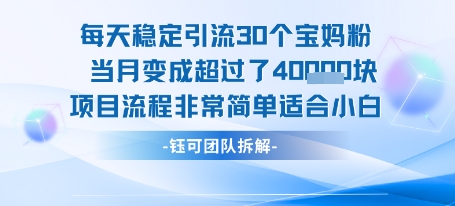每天稳定引流30个人 当月变成超过了4个W项目流程非常简单适合小白-湘创网