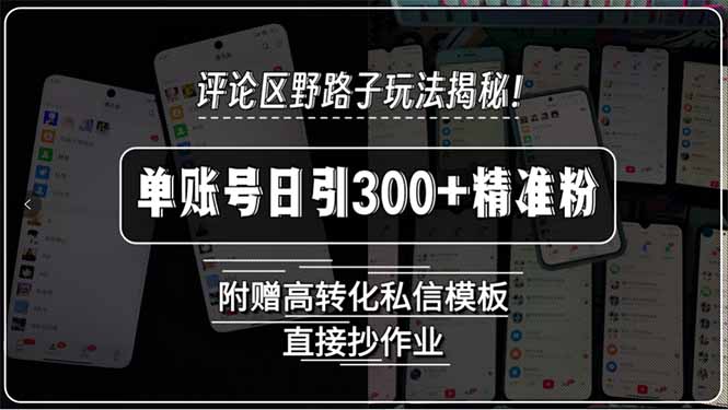 （15466期）评论区野路子玩法揭秘！单账号日引300+精准粉，附赠高转化私信模板，直…-湘创网