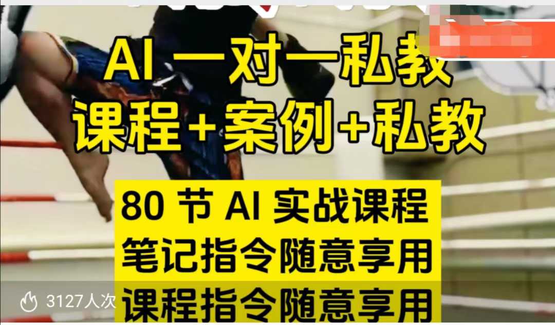 AI指令实战课，课程+案例，80节AI实战课程，笔记指令随意享用，课程指令随意享用（更新7月）-湘创网
