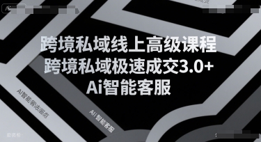 跨境私域线上高级课程，跨境私域极速成交3.0+Ai智能客服-湘创网