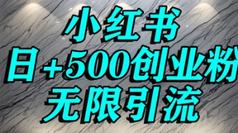 小红书无限引流创业粉，单人操作日引500+精准创业粉-湘创网