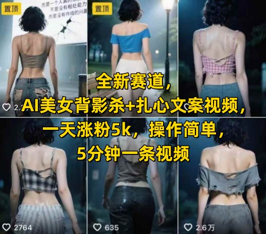 全新赛道，AI美女背影杀+扎心文案视频，一天涨粉5k，操作简单，5分钟一条视频-湘创网