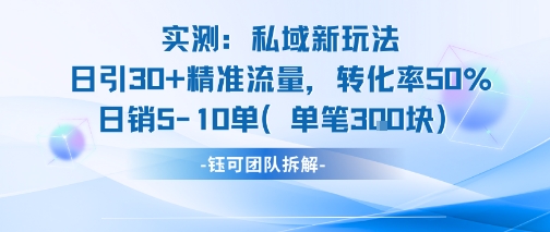 实测私域新玩法日引30加精准流量转化率50%日销5-10单每笔3张-湘创网