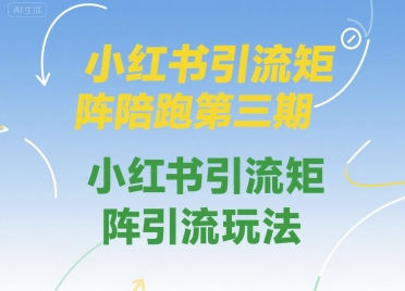 小红书引流矩阵陪跑第三期，小红书引流矩阵引流玩法-湘创网