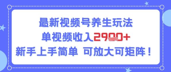 视频号养生玩法，单视频收入2.9k，新手上手简单-湘创网