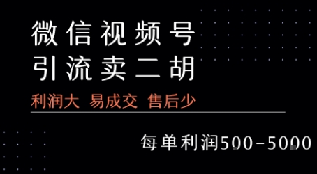 视频号卖二胡教程，利润大 易成交 售后少，一单利润5张+-湘创网