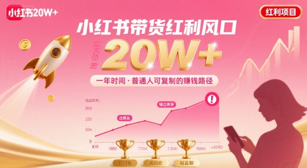 一年时间靠小红书带货项目年入20w+，最不能错的大红利项目-湘创网