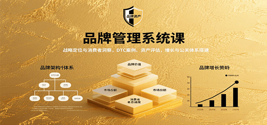 品牌管理系统课：战略定位与消费者洞察，DTC案例、资产评估，增长与公关体系搭建-湘创网