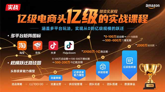 （15803期）亿级电商头部卖家的实战课程：涵盖多平台玩法，实现从0到亿级规模的跃迁-湘创网