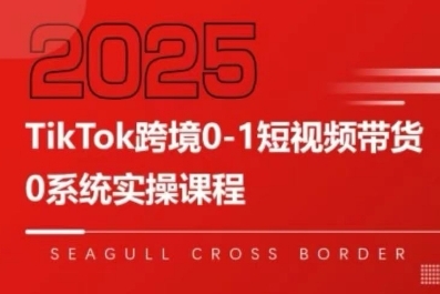 TikTok跨境0-1短视频带货，系统拆解TikTok跨境带货全链路，实现跨境可持续盈利-湘创网