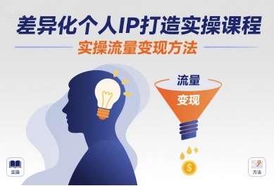 差异化个人IP打造实操课程，实操流量变现方法-湘创网