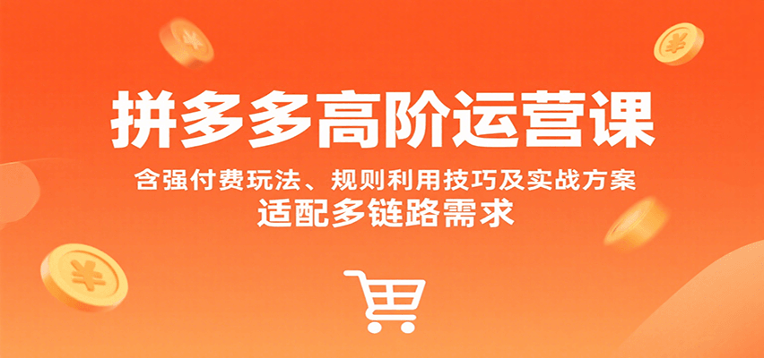 拼多多高阶运营课，含强付费玩法、规则利用技巧及实战方案，适配多链路需求-湘创网