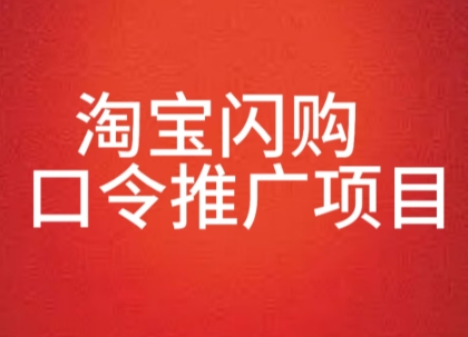 淘宝闪购口令推广项目，收益可观，一部手机，一个抖音号即可操作-湘创网