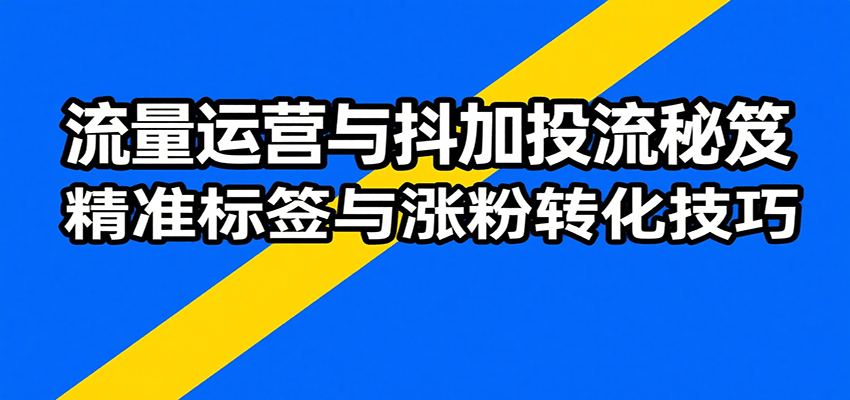 流量运营与抖加投流秘笈，含算法解析、爆款打造、精准标签与涨粉转化技巧-湘创网