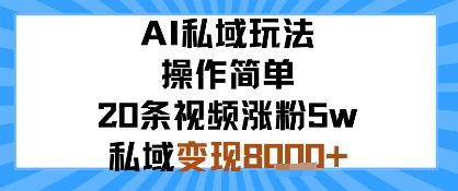 AI私域玩法，操作简单，20条视频涨粉5w，私域变现8k+-湘创网