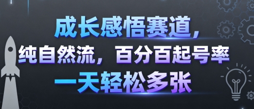 成长感悟赛道，纯自然流，百分百起号率 一天轻松多张-湘创网