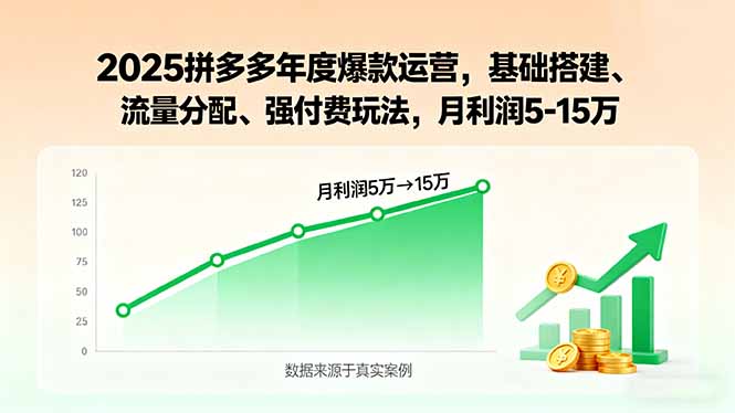 （15973期）2025拼多多年度爆款运营，基础搭建、流量分配、强付费玩法，月利润5-15万-湘创网