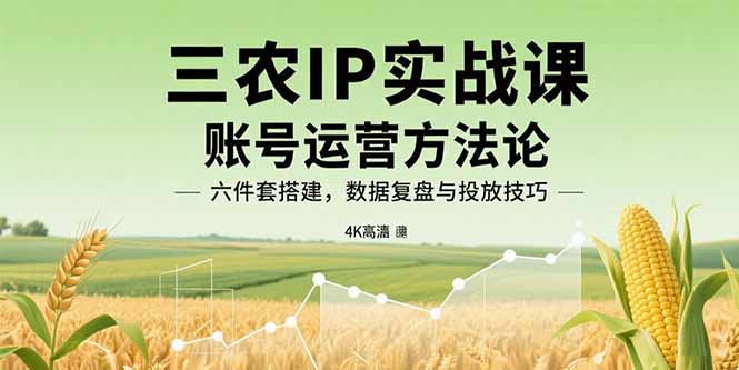 （15864期）三农IP实战课：账号运营方法论，六件套搭建，数据复盘与投放技巧-湘创网
