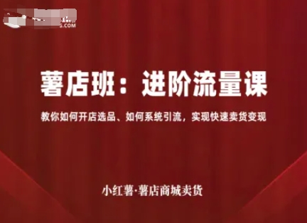 小红薯薯店商城卖货，进阶流量课，教你如何开店选品、如何系统引流，实现快速卖货变现-湘创网