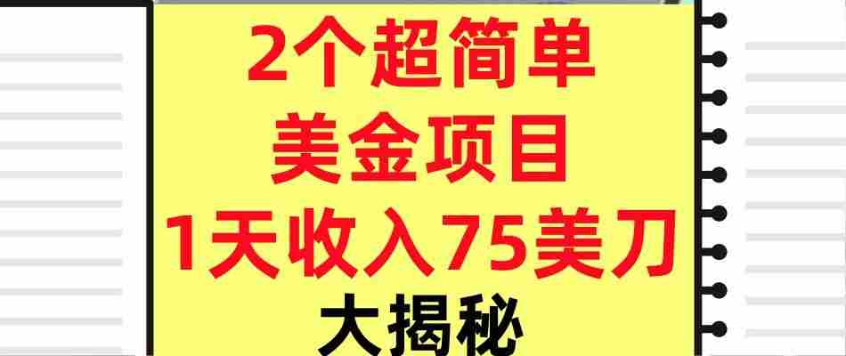 2个超简单美金项目，1天收入75美刀，3分钟学会，内部教程（大揭秘）-湘创网