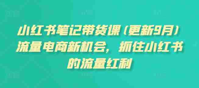小红书笔记带货课(更新25年9月)流量电商新机会，抓住小红书的流量红利-湘创网