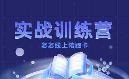多多实战训练营，从0到1打造一个真正賺钱的店铺-湘创网