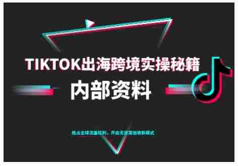 TikTok跨境电商0-1搭建运营，TK出海跨境实操秘籍（10月更新）-湘创网