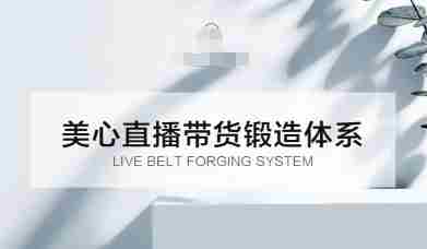 直播带货锻造体系课，5G时代美心一站式帮你开启直播带货之路【音频】-湘创网