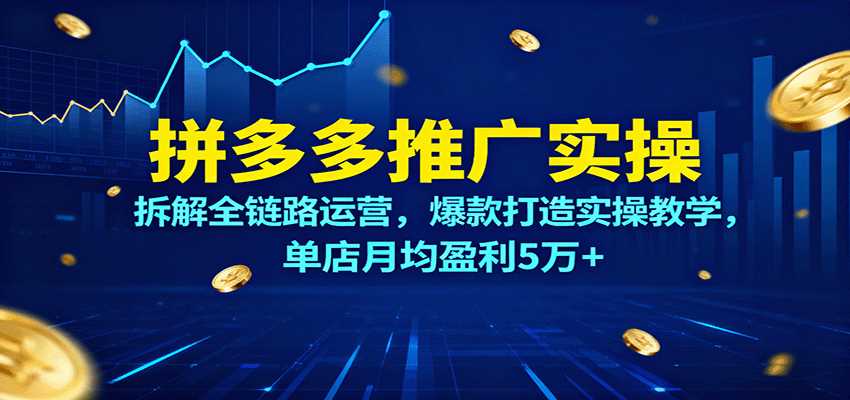 拼多多推广实操，拆解全链路运营，爆款打造实操教学，单店月均盈利5万+-湘创网