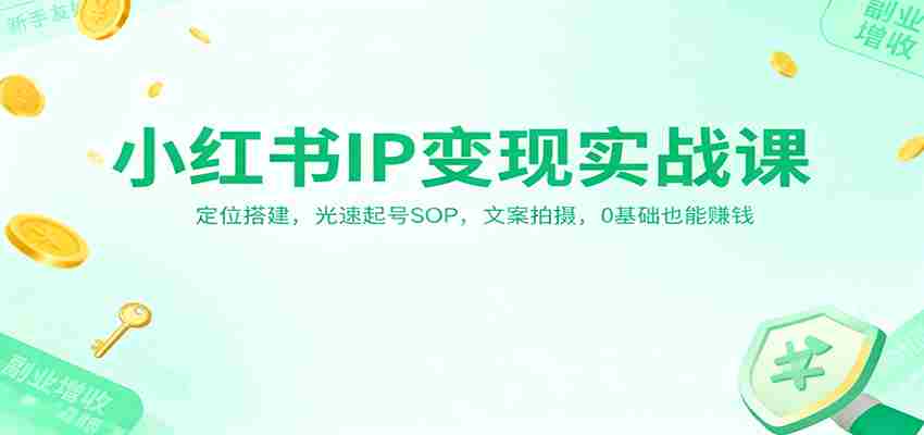 小红书IP变现实战课：定位搭建，光速起号SOP，文案拍摄，0基础也能赚钱-湘创网