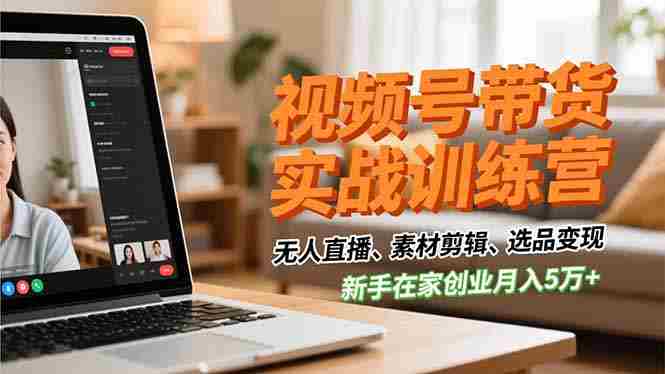 （16762期）视频号带货实战训练营，无人直播、素材剪辑、选品变现，新手在家创业月入5万+-湘创网