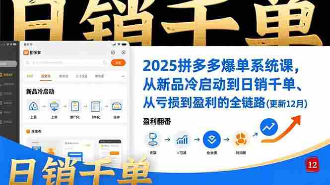 （16894期）2025拼多多爆单系统课，从新品冷启动到日销千单、从亏损到盈利的全链路（更新12月）-湘创网
