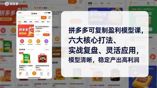 （16952期）拼多多可复制盈利模型课，六大核心打法、实战复盘、灵活应用，模型清晰，稳定产出高利润-湘创网