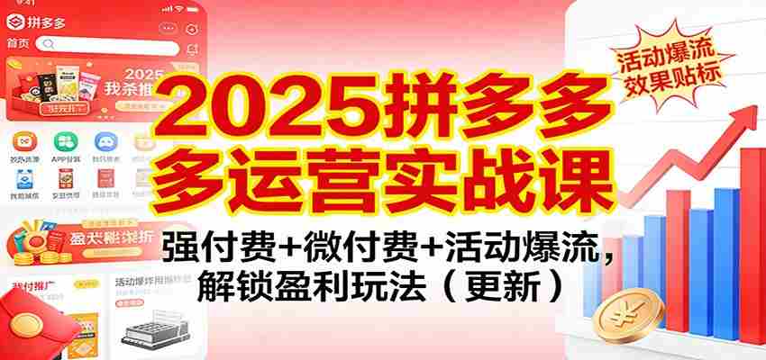 2025拼多多运营实战课：强付费+微付费+活动爆流，解锁盈利玩法（更新）-湘创网