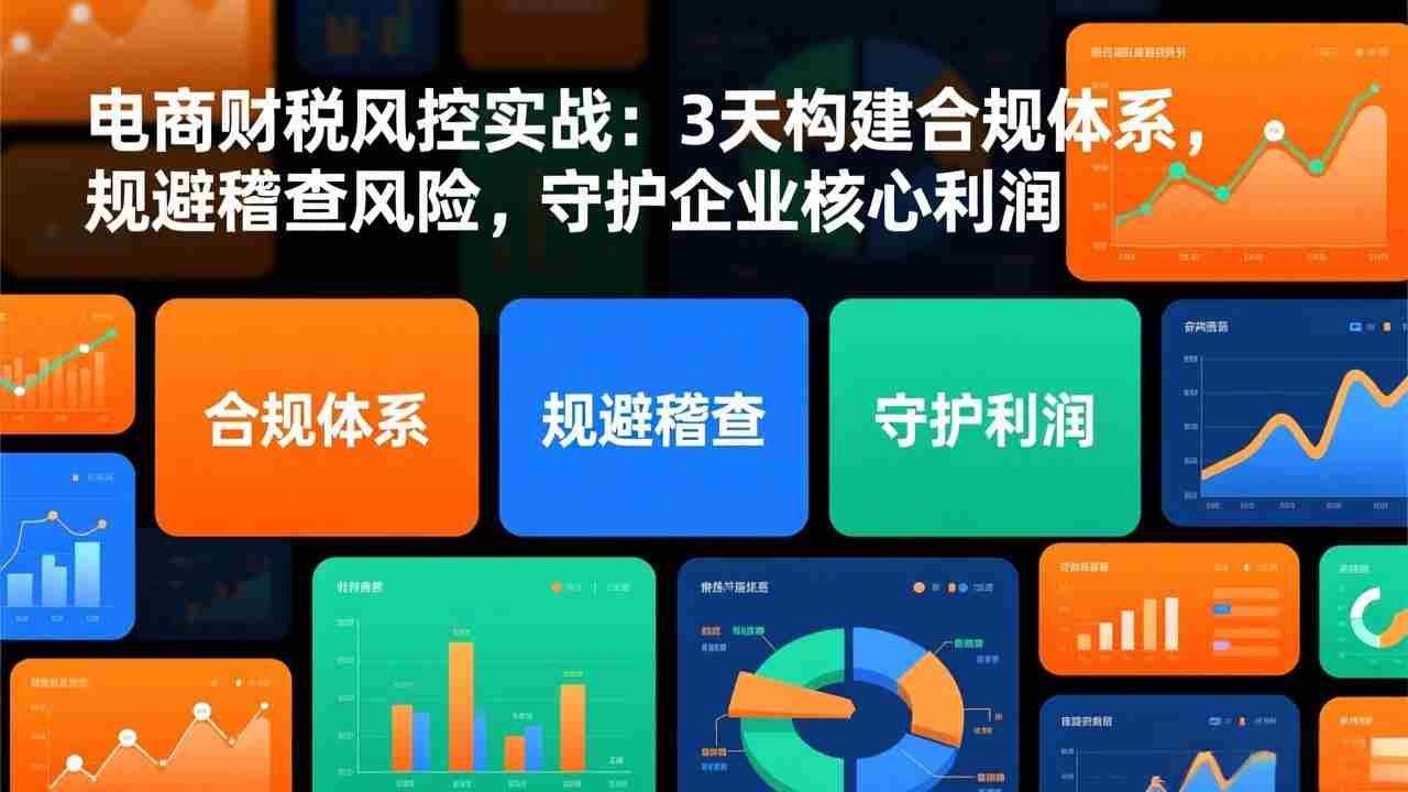 （17197期）电商财税风控实战：3天构建合规体系，规避稽查风险，守护企业核心利润-湘创网