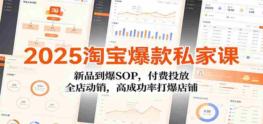 2025淘宝爆款私家课：新品到爆SOP，付费投放，全店动销，高成功率打爆店铺-湘创网