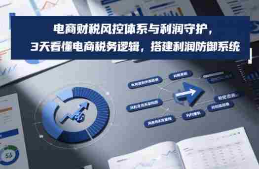 电商财税风控体系与利润守护，3天看懂电商税务逻辑，搭建利润防御系统-湘创网