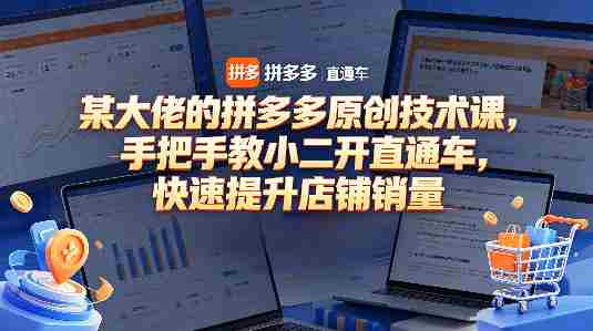 某大佬的拼多多原创技术课，手把手教小二开直通车，快速提升店铺销量-湘创网
